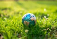 La nuova economia del clima: l’Italia cambia pelle per non farsi travolgere